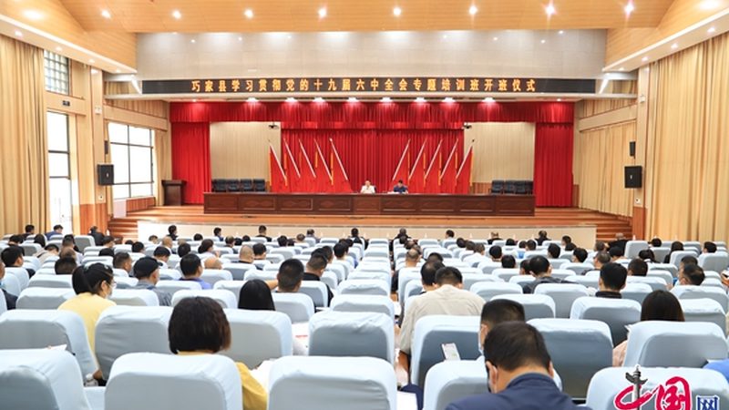 揭秘会计实操网课平台：如何挑选最适合你的学习伙伴